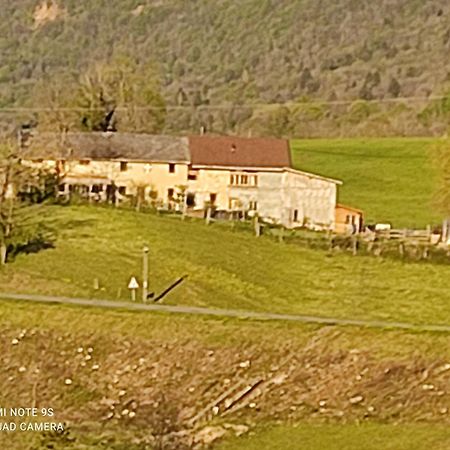 La Chambre Savoyarde Chez Les Garcons Saint-Paul-sur-Yenne Esterno foto